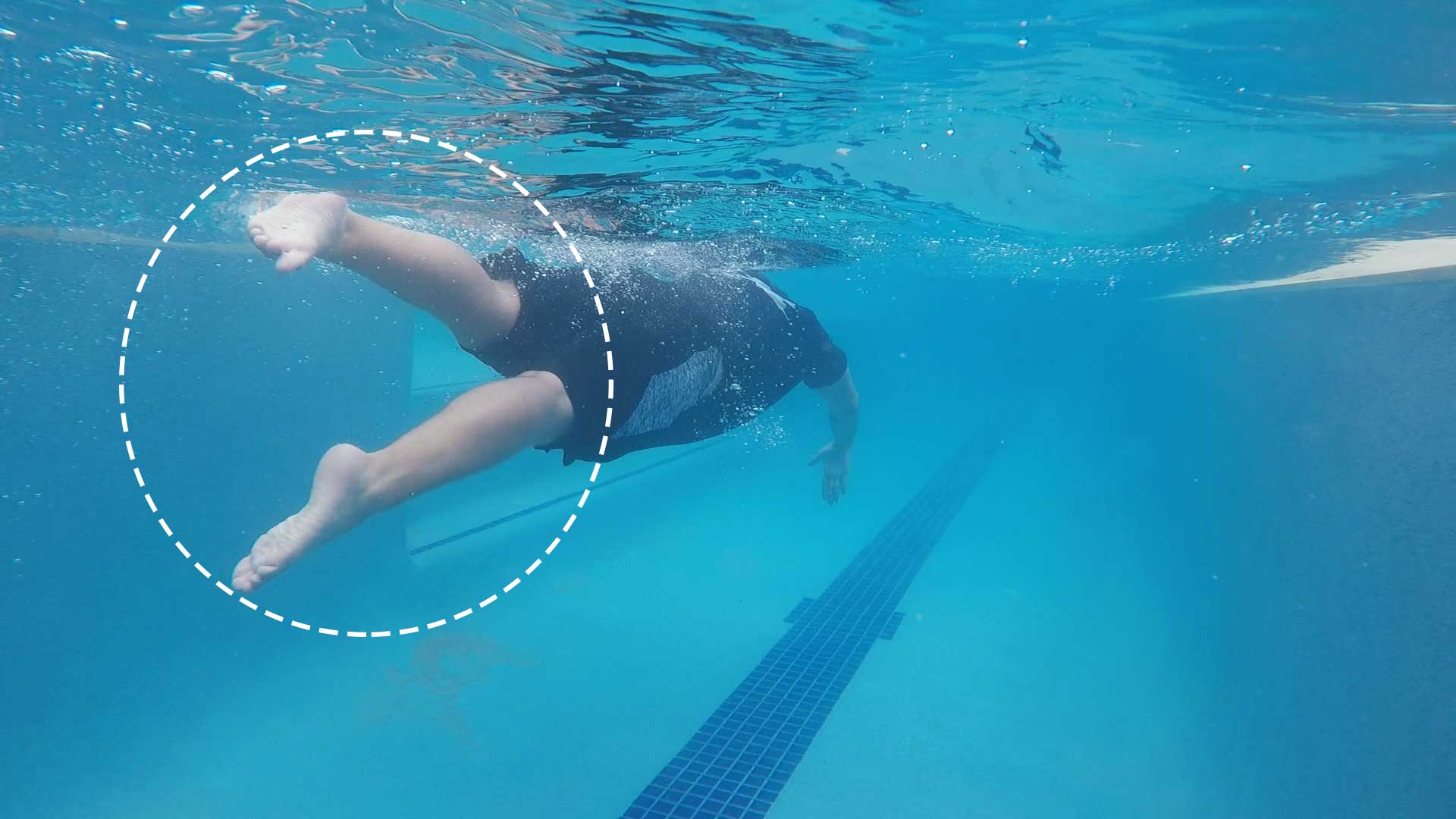 How To Use Arms In Freestyle Swimming at Elizabeth Cevallos blog