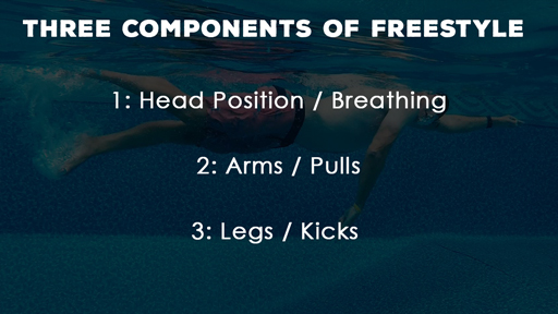 three-components-of-freestyle